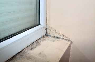 Mold removal by Kobra Environmental Inc