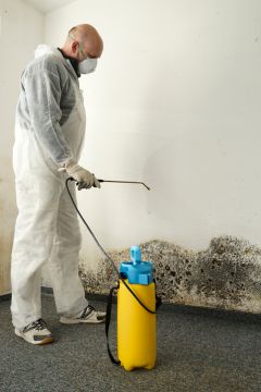 Boca Raton Mold Removal Prices by Kobra Environmental Inc